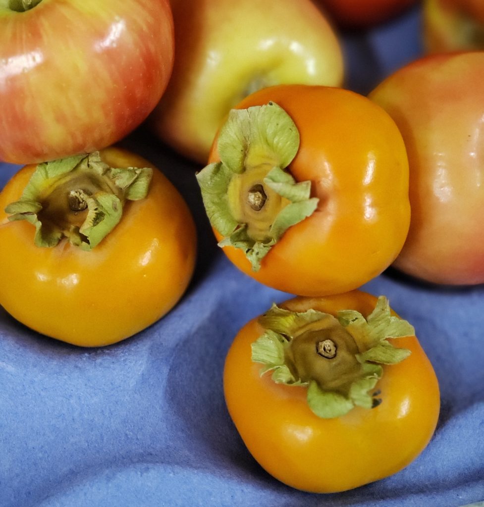 Fresh fruit gets picked daily