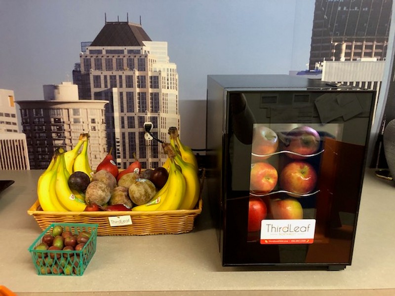 Office-Fruit-Delivered-Federal-Way-WA