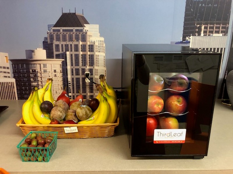 Office-Fruit-Delivered-Lynnwood-WA