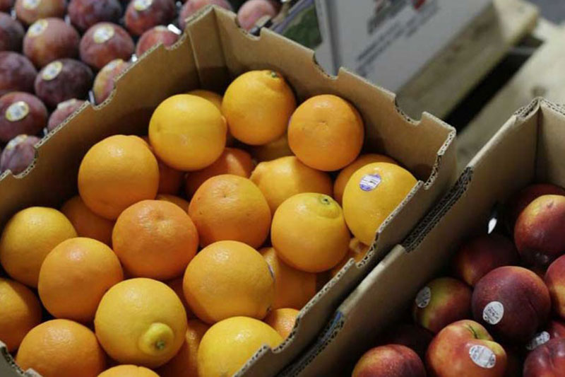 Fresh-Fruit-Delivered-Seattle-WA